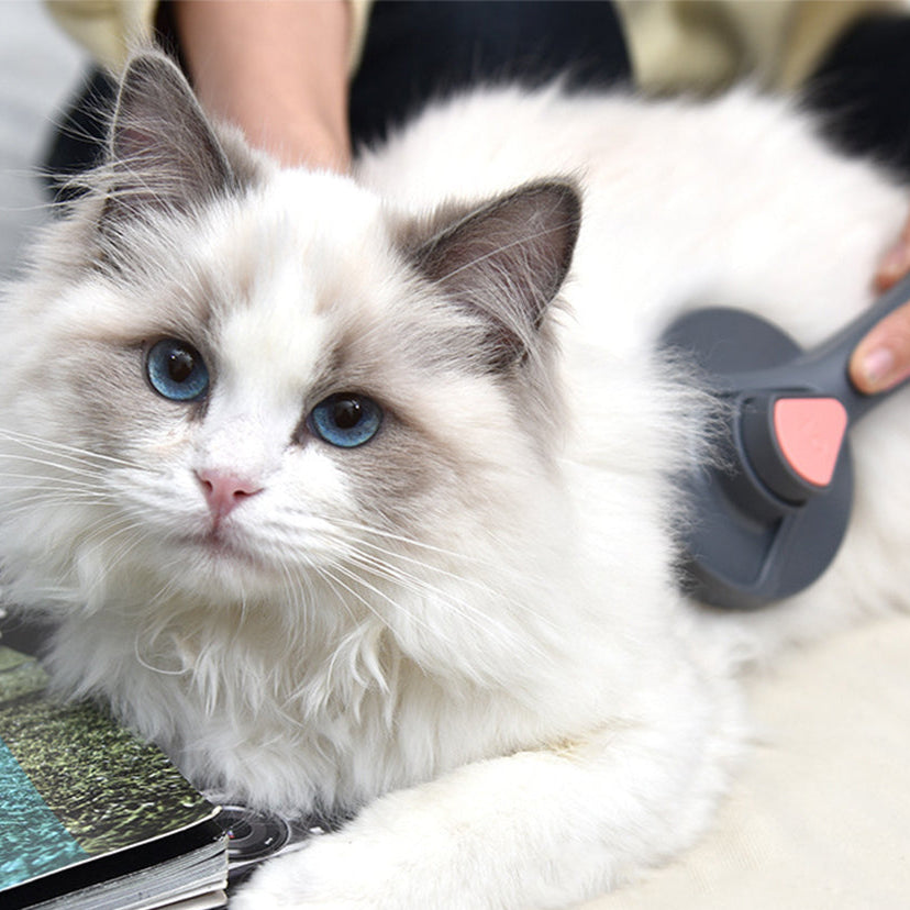 Pets Grooming Cleaning Brush