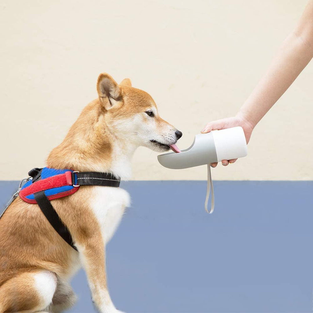 Pet Travel Bottle, Dog Water Bottle