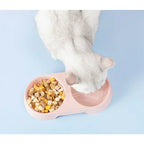 Plastic Pet Feeding Tray with Dual Bowls