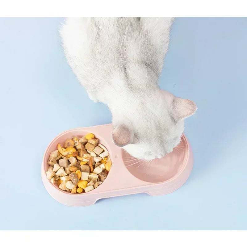 Plastic Pet Feeding Tray with Dual Bowls