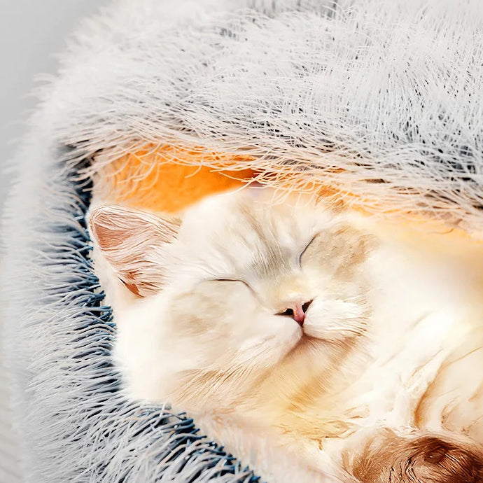 Cat Winter Warm Semi Enclosed Sleeping Bed