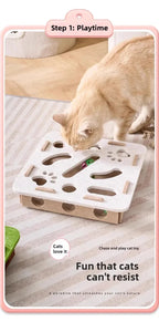 Cat Puzzle & Claw Grinding Toy