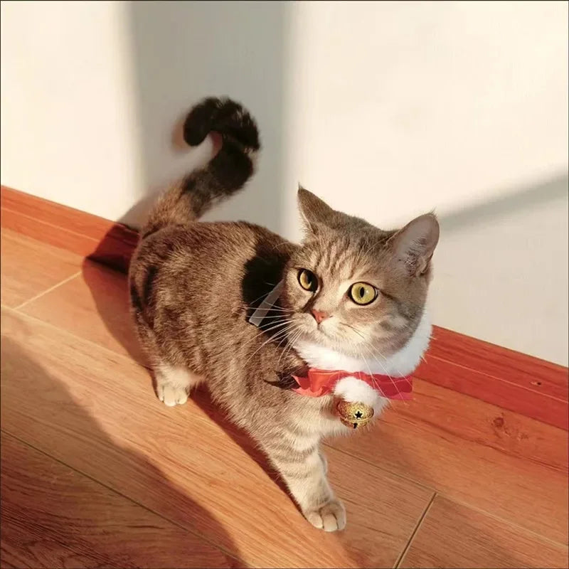Pet Christmas Collar
