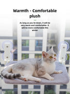 Cat Window Wall Jumping Platform