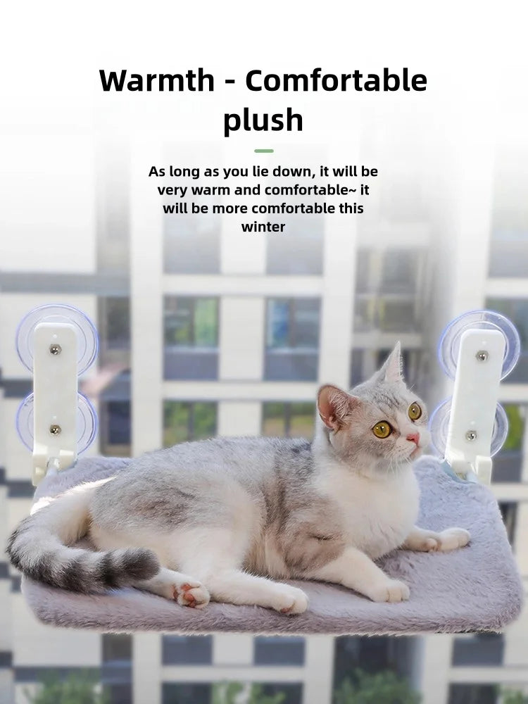 Cat Window Wall Jumping Platform
