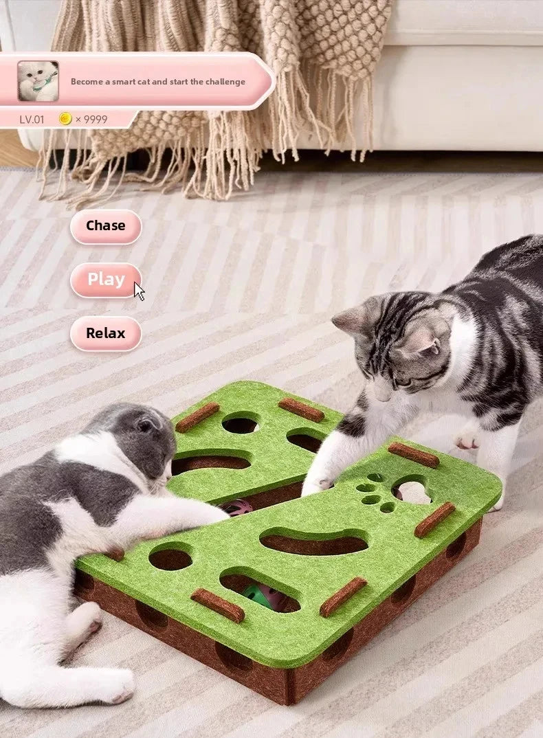 Cat Puzzle & Claw Grinding Toy