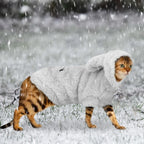 Warm Cat/Puppy Winter Clothes