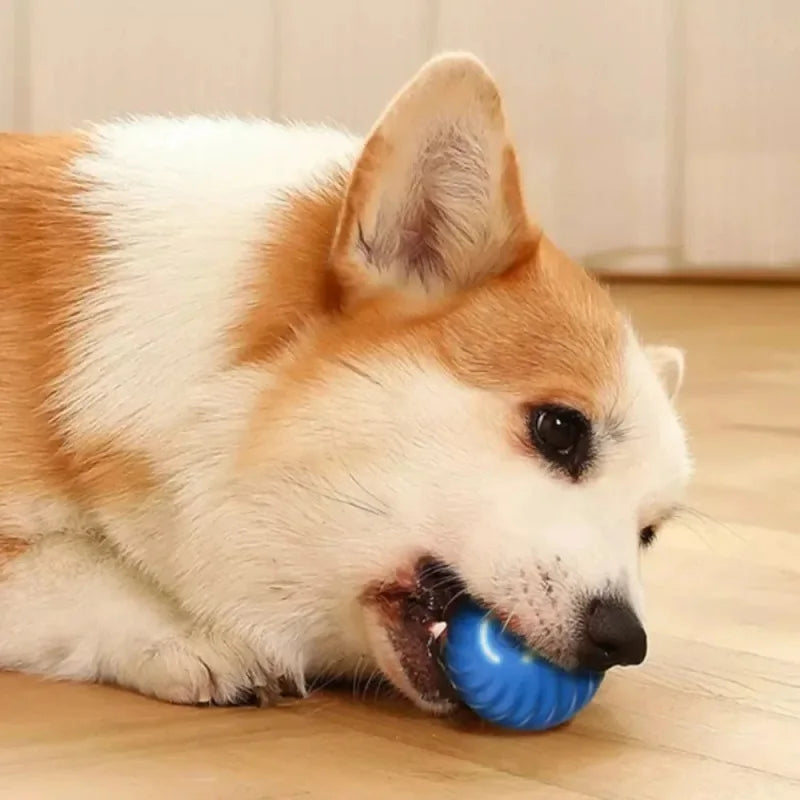 Smart Interactive Puppy Toy Ball