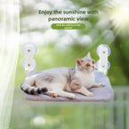 Cat Window Wall Jumping Platform