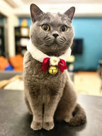 Pet Christmas Collar