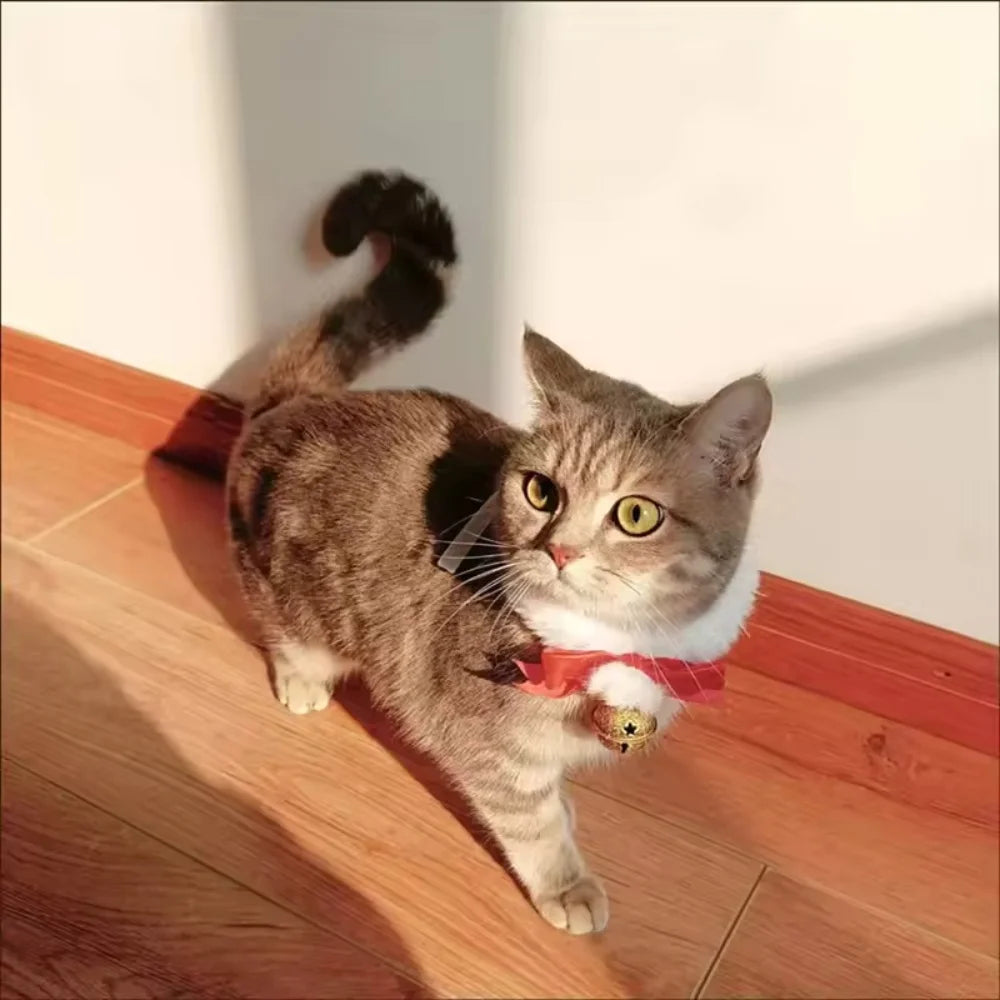 Pet Christmas Collar