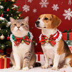 Pet Christmas Collar