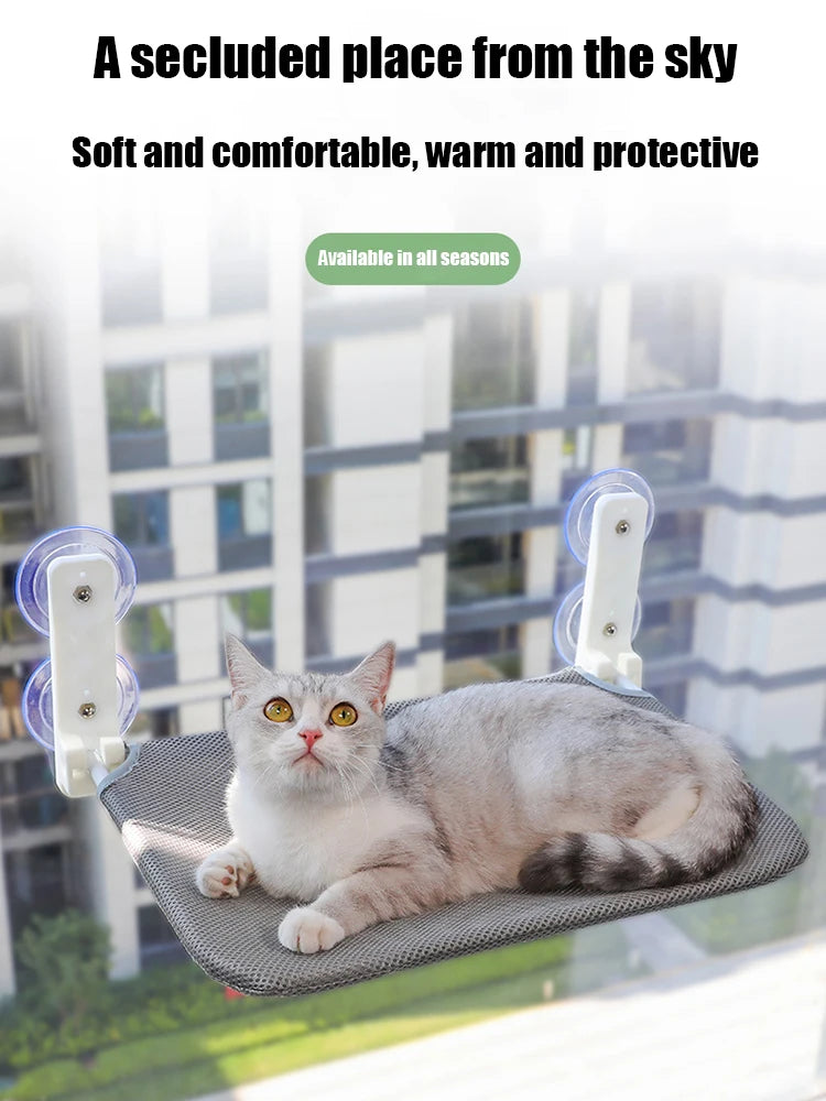 Cat Window Wall Jumping Platform