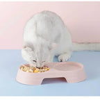 Plastic Pet Feeding Tray with Dual Bowls