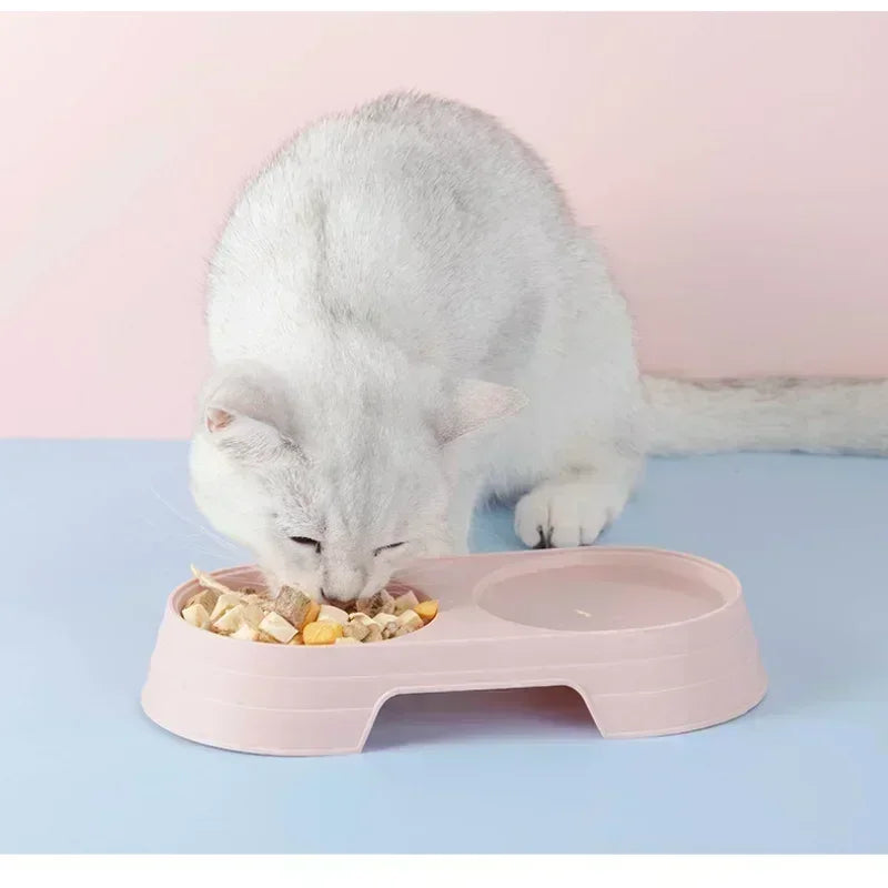 Plastic Pet Feeding Tray with Dual Bowls