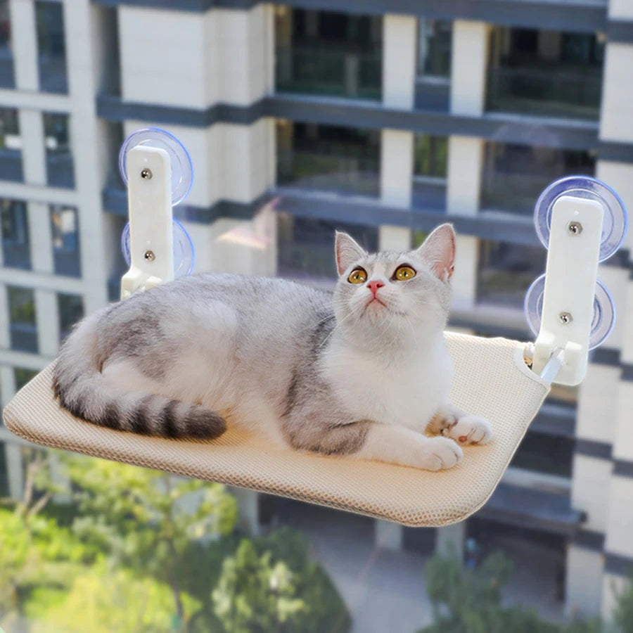 Cat Window Wall Jumping Platform