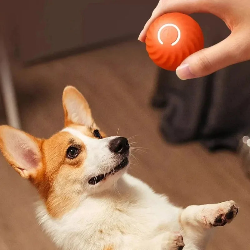 Smart Interactive Puppy Toy Ball