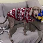 Striped Dog Sweater – Winter Warm Pet Clothes