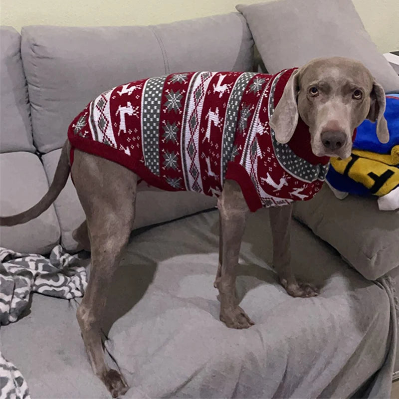 Striped Dog Sweater – Winter Warm Pet Clothes