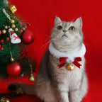 Pet Christmas Collar