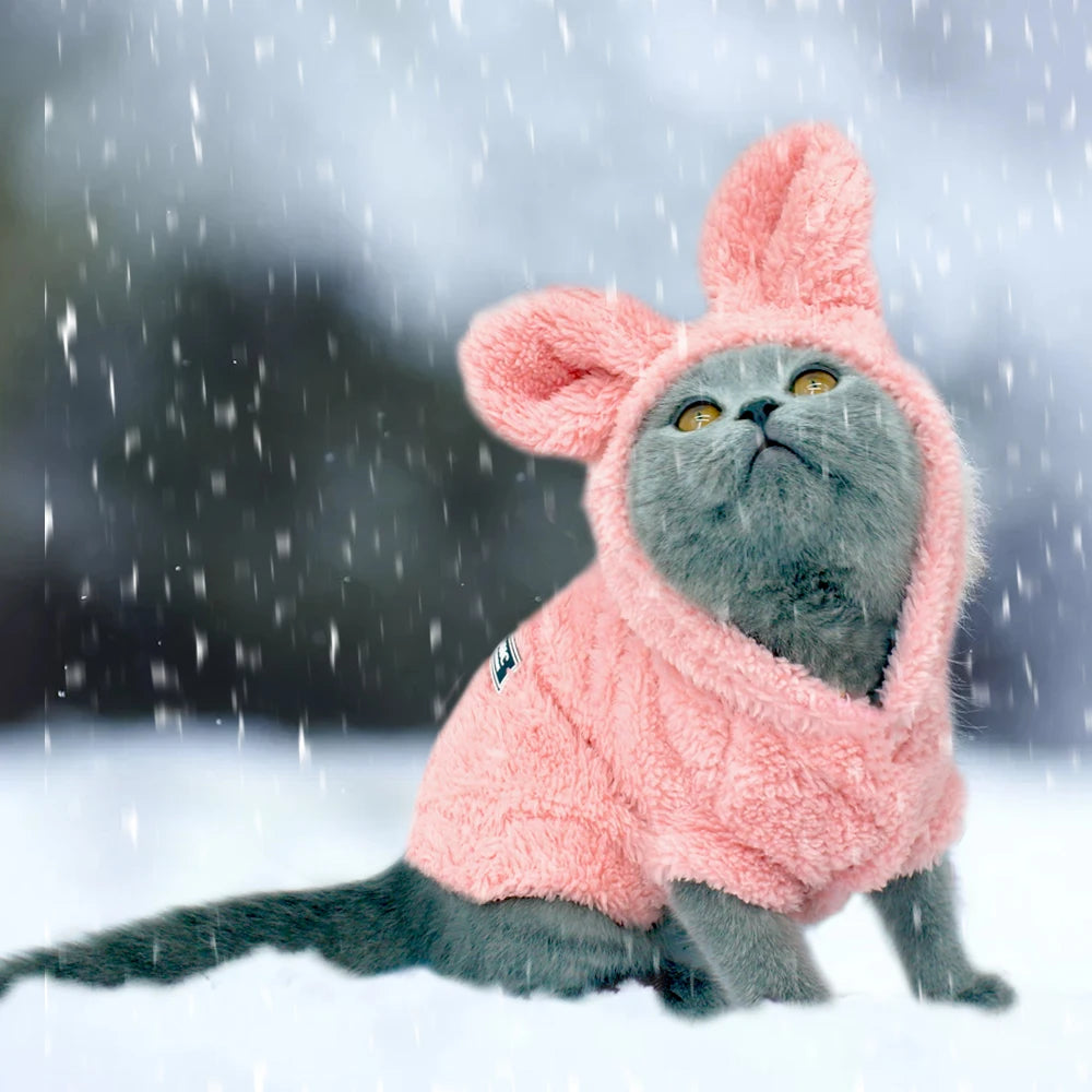 Warm Cat/Puppy Winter Clothes