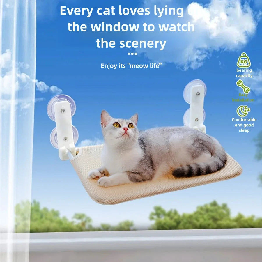 Cat Window Wall Jumping Platform